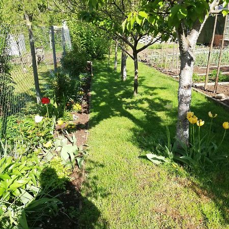 Apartment Sopar Шкофья-Лока Экстерьер фото