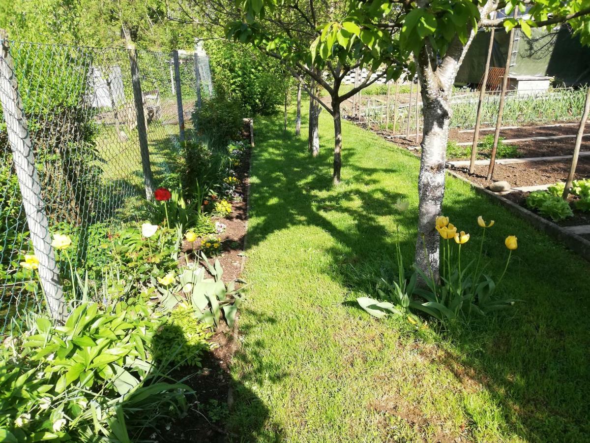Apartment Sopar Шкофья-Лока Экстерьер фото